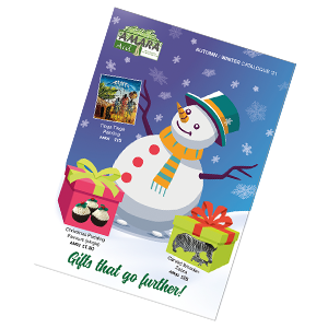 Amara Aid Christmas Catalogue | Autumn & Winter 2018